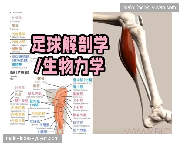 从小球场到大球场：一位专注研究足球射门生物力学的意大利博士，如何影响现代门将站位